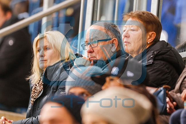 ERC Ingolstadt - Straubing Tigers, Eishockey, DEL, Deutsche Eishockey Liga, Spieltag 16, 24.01.2017