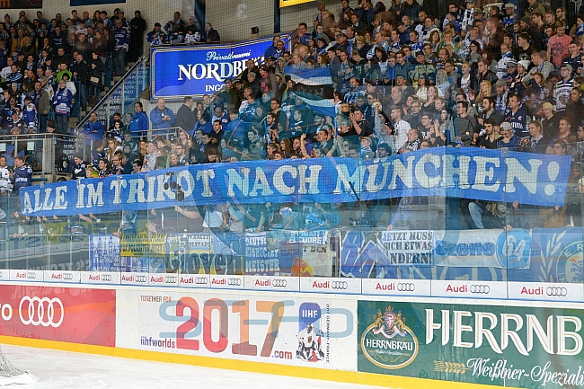 ERC Ingolstadt vs Iserlohn Roosters, Eishockey, DEL, Deutsche Eishockey Liga, Spieltag 27, 11.12.2016