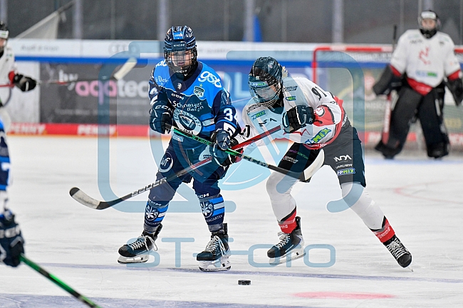 Eishockey, Frauen, DFEL, Saison 2025-2026, ERC Ingolstadt - HK Budapest, 15.11.2025