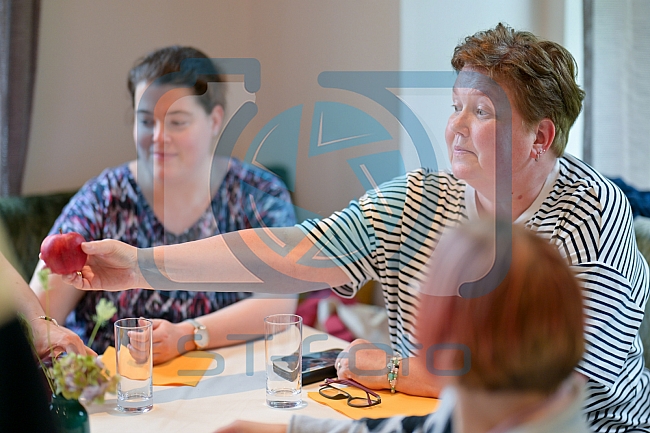 Eishockey, Herren, DEL, Saison 2026-2027, ERC Ingolstadt - ERC Rollis - Apfel-Tasting, 21.08.2026