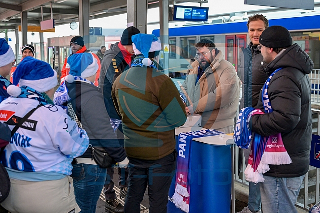 Eishockey, Herren, DEL, Saison 2025-2026, Spiel 24, Nürnberg Ice Tigers - ERC Ingolstadt, 30.11.2025
