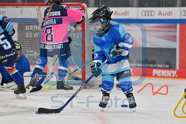 Eishockey, Herren, DEL, Saison 2023-2024, ERC Ingolstadt - Kids on Ice Day, 18.11.2023