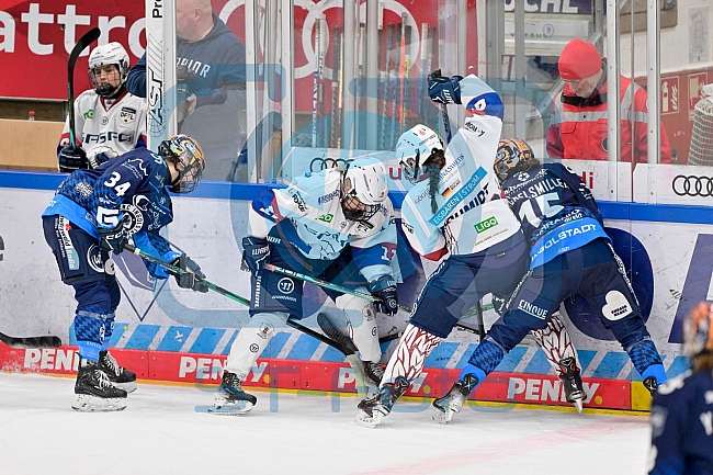 Eishockey, Frauen, DFEL, Saison 2024-2025, ERC Ingolstadt - Eisbären Berlin, 15.02.2025
