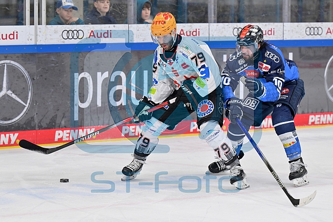 Eishockey, Herren, DEL, Saison 2023-2024, Playoffs Viertelfinale - Spiel 4, ERC Ingolstadt - Fischtown Pinguins , 24.03.2024