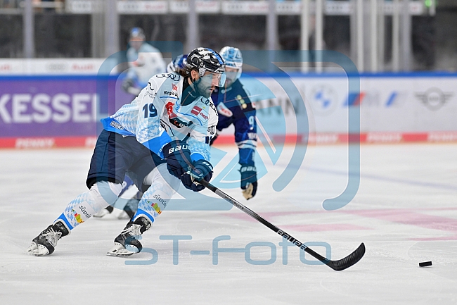 Eishockey, Herren, DEL, Saison 2024-2025, Vorbereitung, ERC Ingolstadt - Dresdner Eislöwen, 18.08.2024