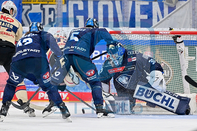 Eishockey, Herren, DEL, Saison 2024-2025, Playoffs Viertelfinale, Spiel 5, ERC Ingolstadt - Nürnberg Ice Tigers, 26.03.2025