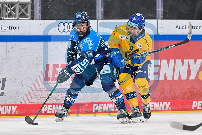 Eishockey, Frauen, DFEL, Saison 2025-2026, Testspiel, ERC Ingolstadt - HC Davos, 14.02.2026