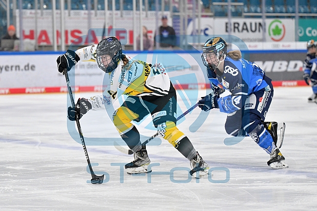 Eishockey, Frauen, DFEL, Saison 2023-2024, ERC Ingolstadt - Mad Dogs Mannheim, 18.02.2024