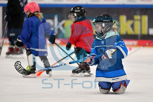 Eishockey, Herren, DEL, Saison 2024-2025, ERC Ingolstadt - Kids On Ice Day, 11.01.2025