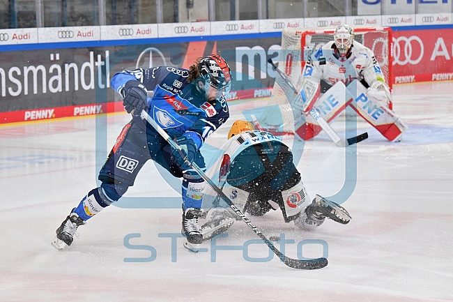 Eishockey, Herren, DEL, Saison 2023-2024, Playoffs Viertelfinale - Spiel 4, ERC Ingolstadt - Fischtown Pinguins , 24.03.2024
