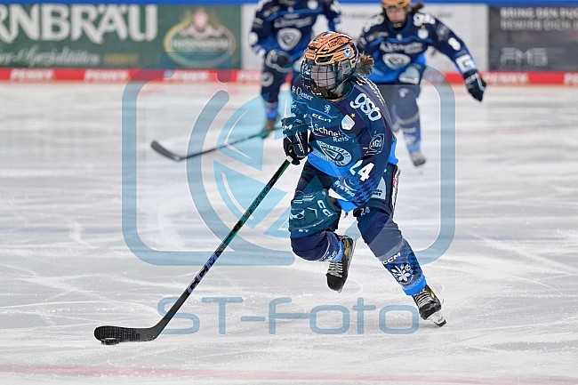 Eishockey, Frauen, DFEL, Saison 2024-2025, ERC Ingolstadt - Mad Dogs Mannheim, 23.11.2024