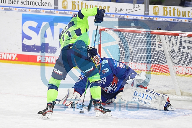 Eishockey, Herren, DEL, Saison 2020-2021, Adler Mannheim - ERC Ingolstadt, 15.02.2021