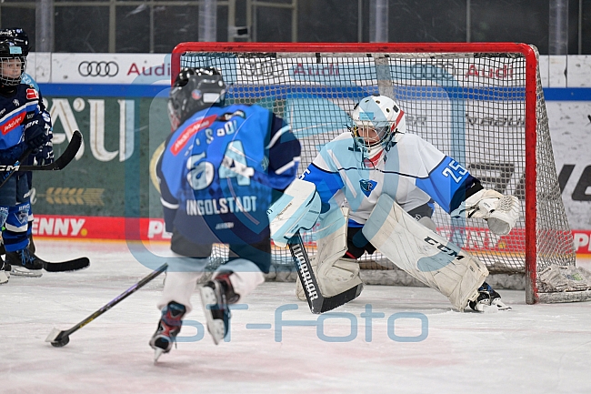 Eishockey, Herren, DEL, Saison 2024-2025, ERC Ingolstadt - Kids On Ice Day, 11.01.2025