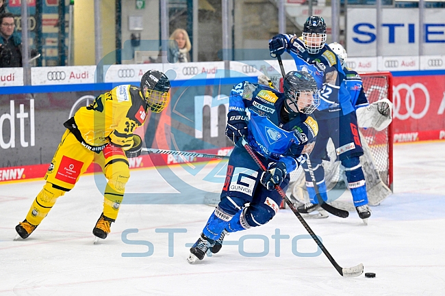 Eishockey, U20, DNL, Saison 2024-2025, ERC Ingolstadt - Krefelder EV 81, 01.03.2025