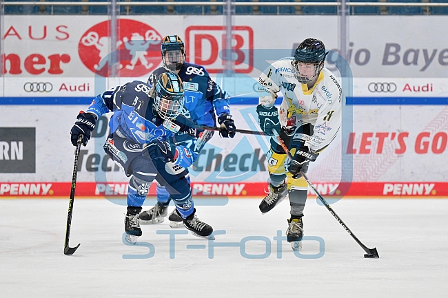 Eishockey, Frauen, DFEL, Saison 2023-2024, ERC Ingolstadt - Mad Dogs Mannheim, 18.02.2024
