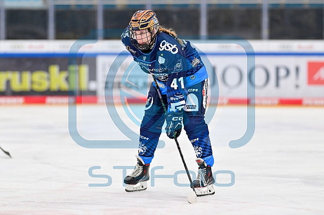 Eishockey, Frauen, DFEL, Saison 2024-2025, ERC Ingolstadt - ECDC Memmingen Indians, 16.11.2024