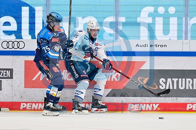 Eishockey, Herren, DEL, Saison 2025-2026, Spiel 14, ERC Ingolstadt - Adler Mannheim, 26.10.2025