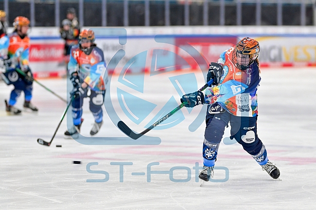 Eishockey, Frauen, DFEL, Saison 2024-2025, ERC Ingolstadt - EC Bergkamener Bären, 05.01.2025