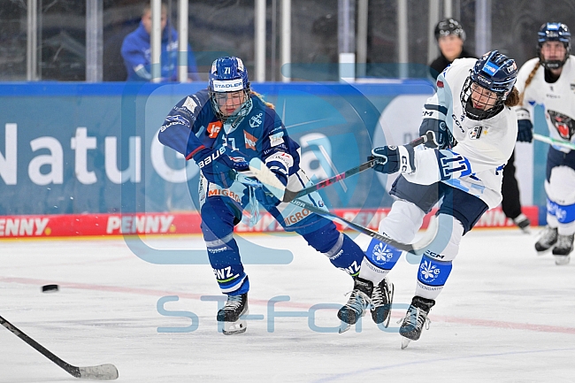 Eishockey, Frauen, DFEL, Saison 2026-2027, Testspiel, ERC Ingolstadt - ZSC Lions Zürich, 05.09.2026