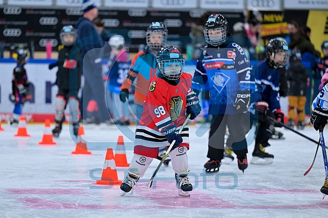 Eishockey, Saison 2025-2026, ERC Ingolstadt - Kids On Ice Day, 10.01.2026