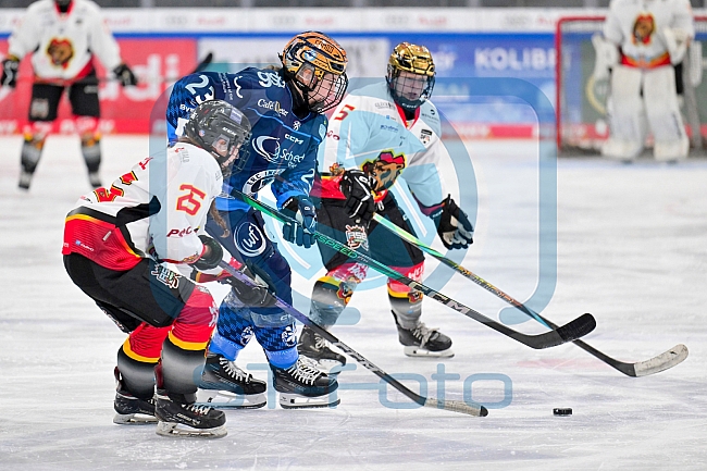 Eishockey, Frauen, DFEL, Saison 2024-2025, ERC Ingolstadt - EC Bergkamener Bären, 04.01.2025