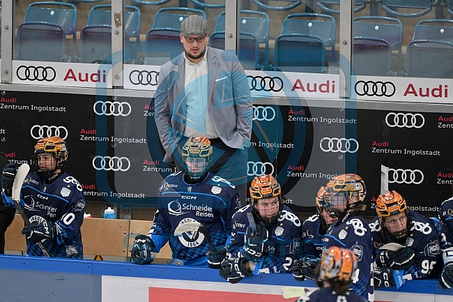 Eishockey, Frauen, DFEL, Saison 2024-2025, ERC Ingolstadt - Eisbären Berlin, 15.02.2025