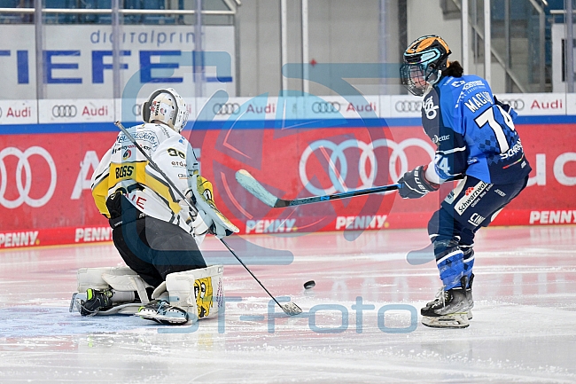 Eishockey, Frauen, DFEL, Saison 2023-2024, ERC Ingolstadt - Mad Dogs Mannheim, 18.02.2024