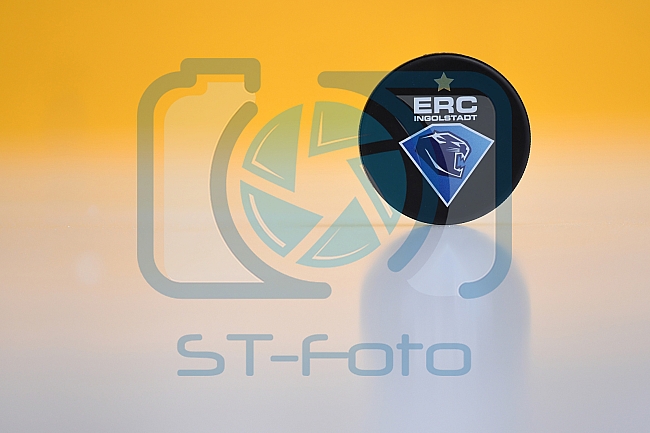 ERC Ingolstadt vs Adler Mannheim, Eishockey, DEL, Deutsche Eishockey Liga, Spieltag 46, 10.02.2017