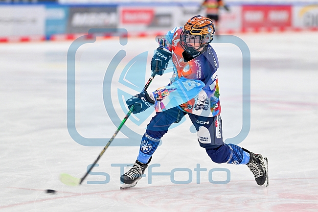 Eishockey, Frauen, DFEL, Saison 2024-2025, ERC Ingolstadt - EC Bergkamener Bären, 05.01.2025