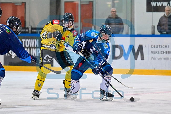 Eishockey, Herren, U20 DNL, Saison 2025-2026, Halbfinale - Spiel 5, ERC Ingolstadt - Krefelder EV 81, 24.03.2026