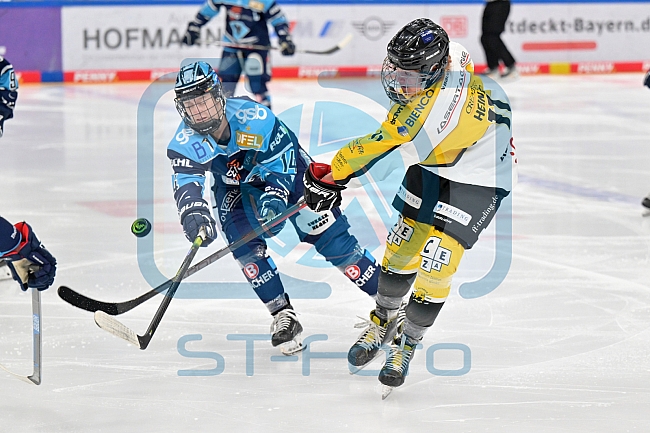 Eishockey, Frauen, DFEL, Halbfinale, Saison 2022-2023, ERC Ingolstadt - Mad Dogs Mannheim, 25.02.2023