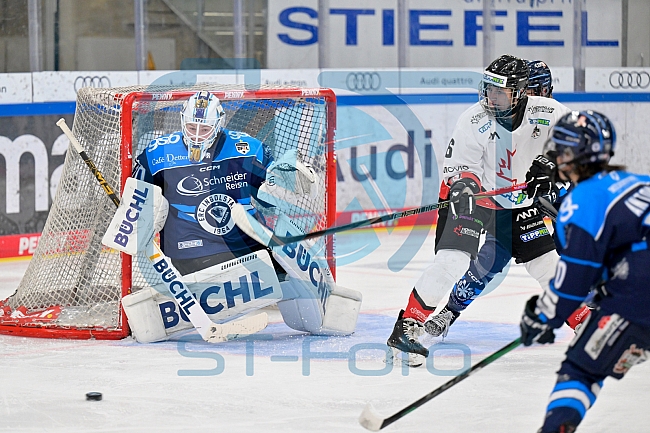 Eishockey, Frauen, DFEL, Saison 2025-2026, ERC Ingolstadt - HK Budapest, 15.11.2025