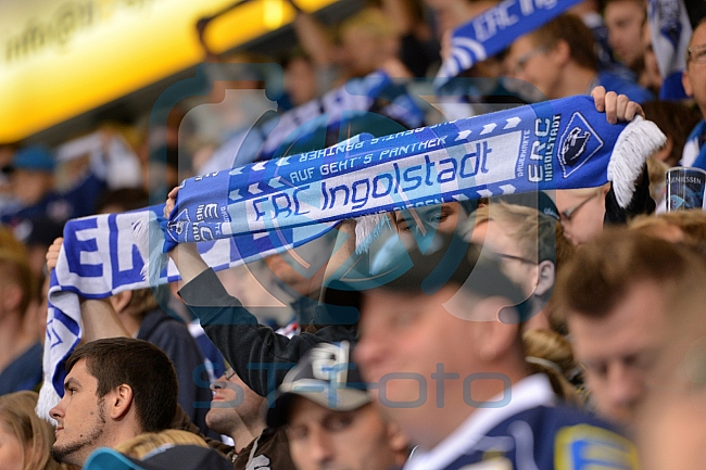 ERC Ingolstadt vs Adler Mannheim, Eishockey, DEL, Deutsche Eishockey Liga, Spieltag 2, 13.09.2015