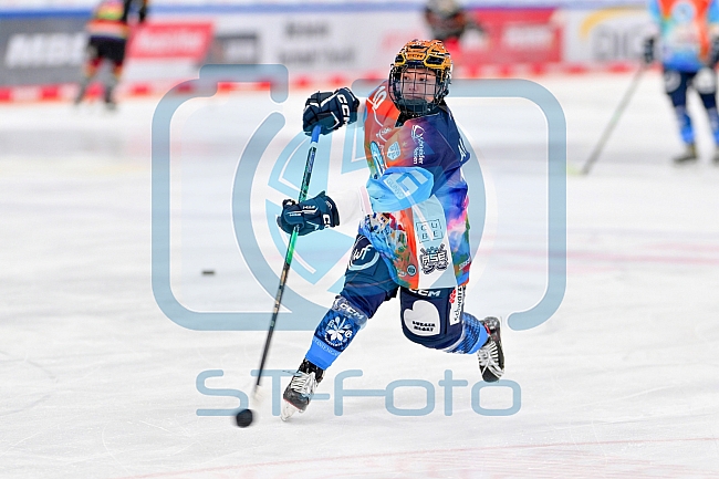 Eishockey, Frauen, DFEL, Saison 2024-2025, ERC Ingolstadt - EC Bergkamener Bären, 05.01.2025