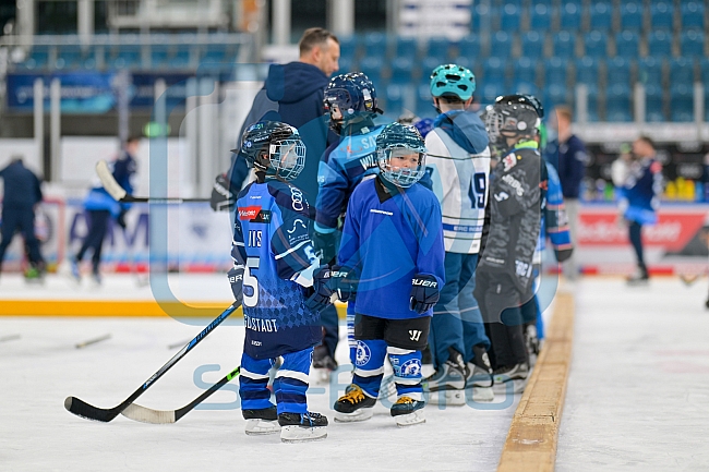 Eishockey, Herren, DEL, Saison 2024-2025, ERC Ingolstadt - Kids On Ice Day, 21.09.2024