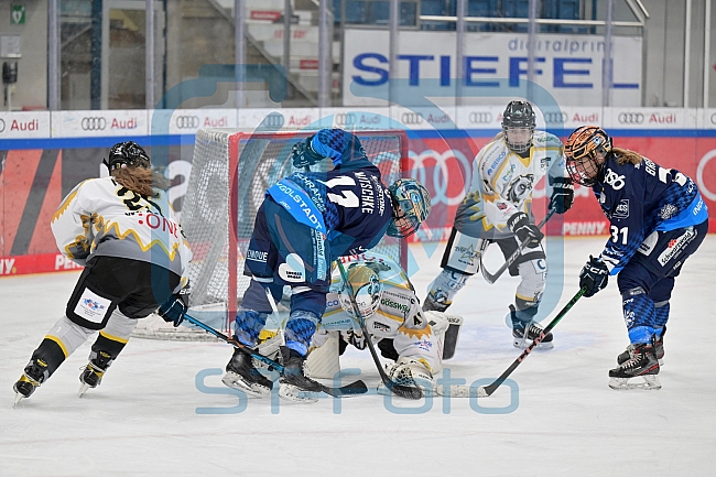Eishockey, Frauen, DFEL, Saison 2024-2025, ERC Ingolstadt - Mad Dogs Mannheim, 23.11.2024