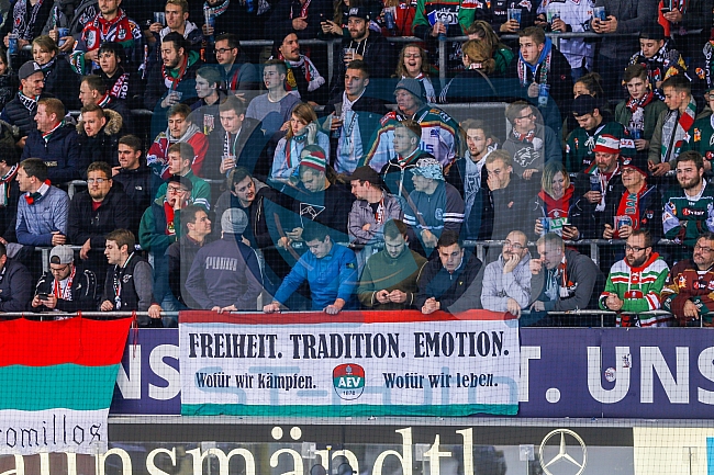 ERC Ingolstadt vs Augsburger Panther, Eishockey, DEL, Deutsche Eishockey Liga, Spieltag 21, 23.11.2016