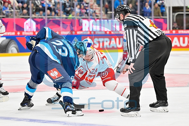 Hockey, Mens, CHL, Season 2025-2026, Regular Season, Round of 16, ERC Ingolstadt - EC Red Bull Salzburg, 12.11.2025