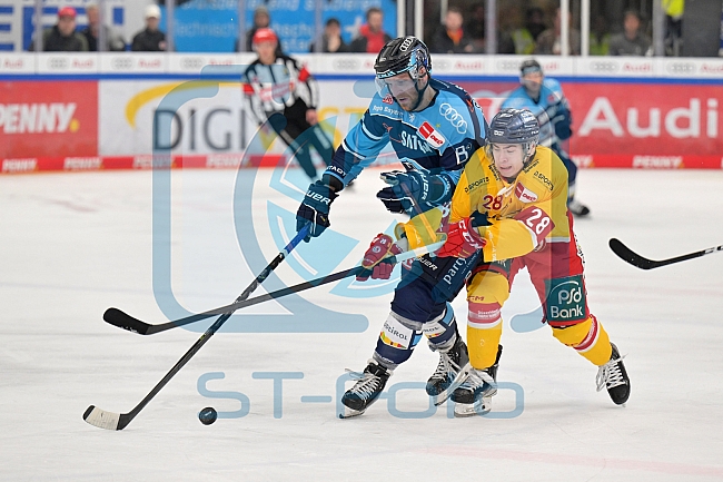 Eishockey, Herren, DEL, Saison 2022-2023, Playoff-Viertelfinale - Spiel 5, ERC Ingolstadt - Düsseldorfer EG, 24.03.2023
