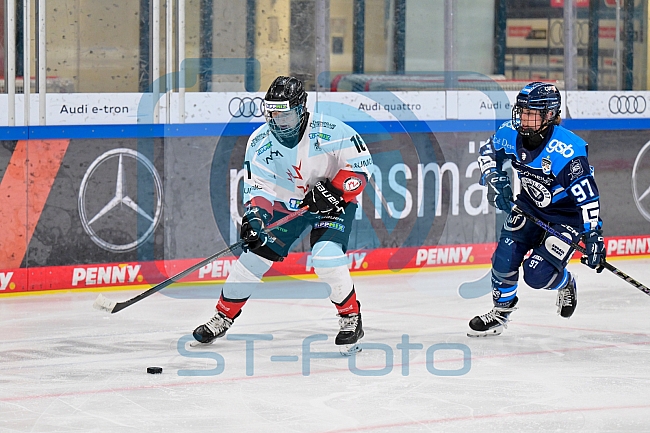 Eishockey, Frauen, DFEL, Saison 2025-2026, ERC Ingolstadt - HK Budapest, 15.11.2025