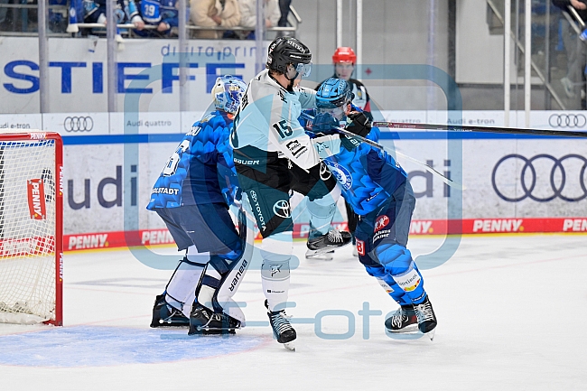 Eishockey, Herren, DEL, Saison 2025-2026, Spiel 16, ERC Ingolstadt - Kölner Haie, 31.10.2025