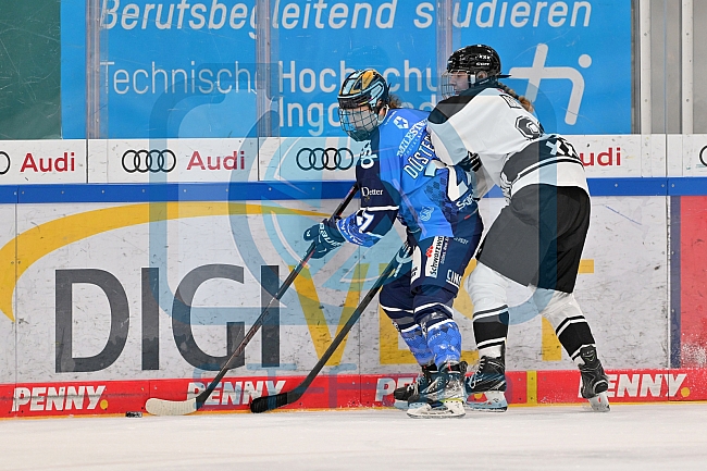 Eishockey, Frauen, DFEL, Saison 2023-2024, ERC Ingolstadt - Amsterdam Tigers, 06.01.2024