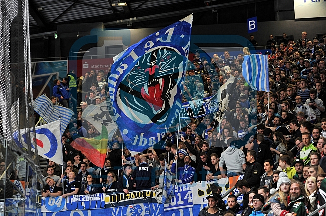 Augsburger Panther vs ERC ingolstadt, Eishockey, DEL, Deutsche Eishockey Liga, 05.03.2015