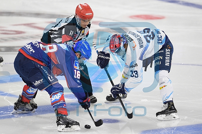 Eishockey, Herren, DEL, Saison 2020-2021, Adler Mannheim - ERC Ingolstadt, 24.01.2021