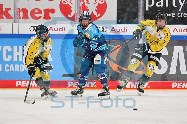 Eishockey, Frauen, DFEL, Halbfinale, Saison 2022-2023, ERC Ingolstadt - Mad Dogs Mannheim, 25.02.2023