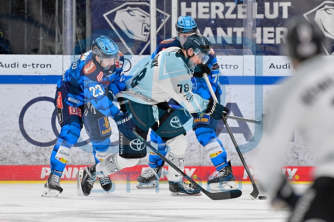 Eishockey, Herren, DEL, Saison 2025-2026, Spiel 38, ERC Ingolstadt - Kölner Haie, 09.01.2026