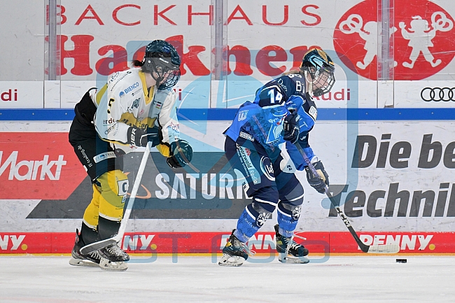 Eishockey, Frauen, DFEL, Saison 2023-2024, ERC Ingolstadt - Mad Dogs Mannheim, 18.02.2024