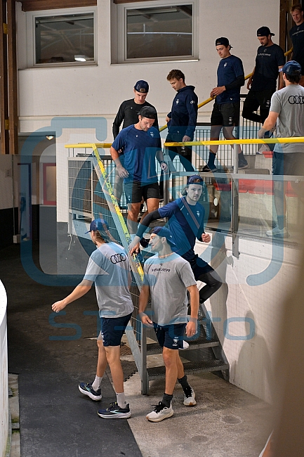 Eishockey, Herren, DEL, Saison 2026-2027, ERC Ingolstadt - Ice Training, 20.08.2026