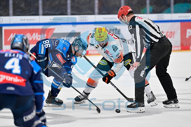 Eishockey, Herren, DEL, Saison 2025-2026, Spiel 10, ERC Ingolstadt - Löwen Frankfurt, 12.10.2025