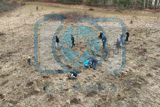 Eishockey, Herren, DEL, Saison 2023-2024, ERC Ingolstadt - Baumpflanzaktion, 03.03.2024